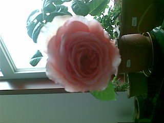 20111229(002).jpg