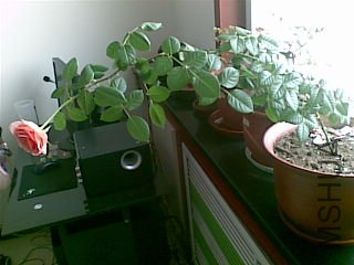 20111229(003).jpg