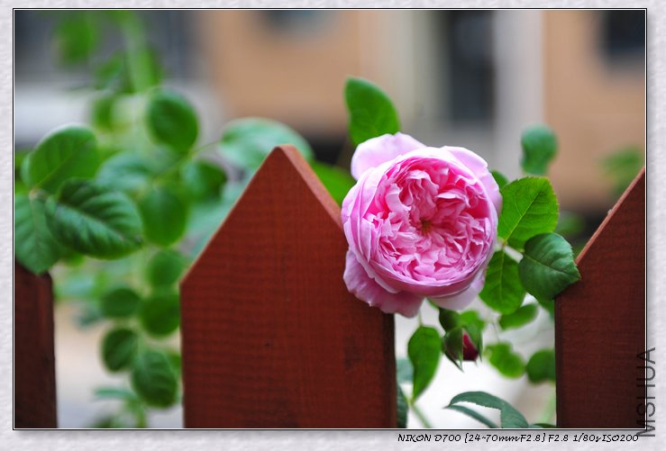 DSC_8952.JPG