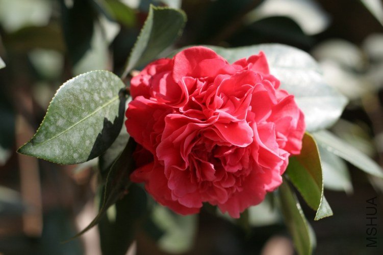 201102.jpg