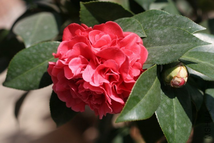 201103.jpg