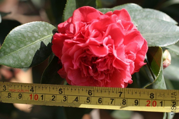 201104.jpg