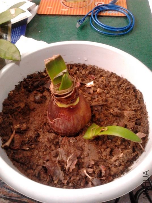 2011-12-21 15.57.08.jpg