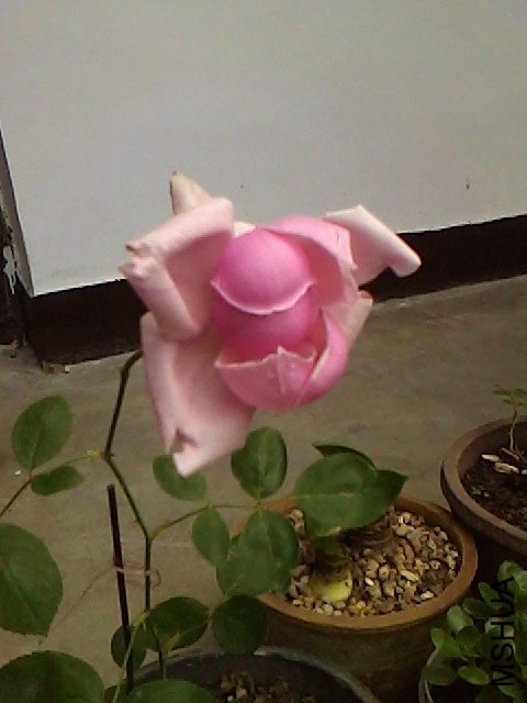 IMG0623104601.jpg