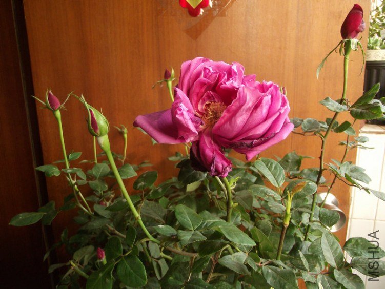 DSCF0361.JPG