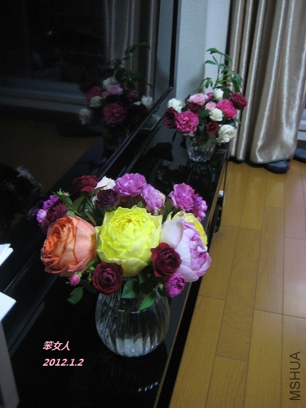 030.JPG