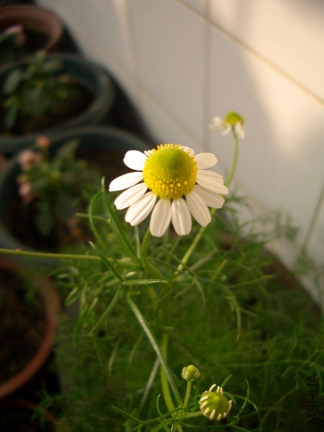 20120102-4.jpg