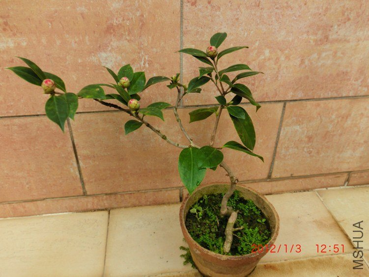 CIMG1448_����.jpg