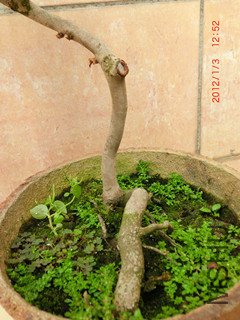 CIMG1451_����.jpg