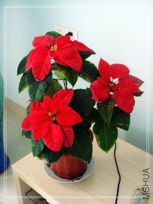 nEO_IMG_DSC02232.jpg