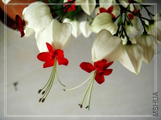 nEO_IMG_DSC02245.jpg