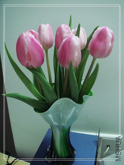 nEO_IMG_DSC02247.jpg