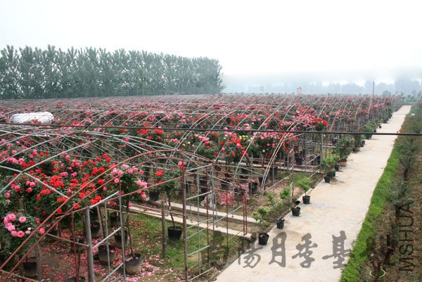 2011022801.jpg