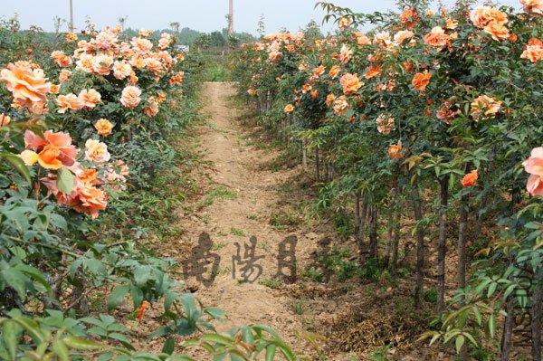 2011022804.jpg