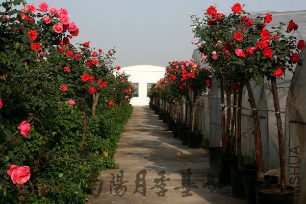 2011022809.jpg