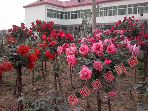 2011926143509.jpg