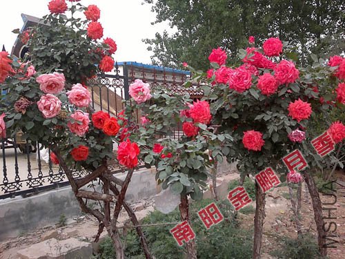 2011926143839.jpg