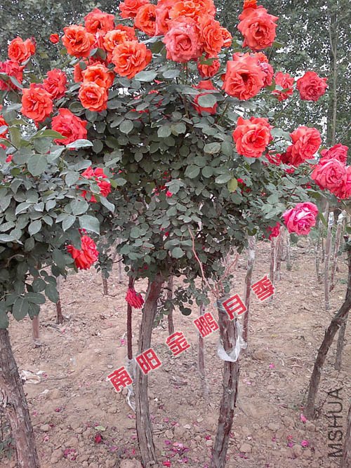 2011926144236.jpg