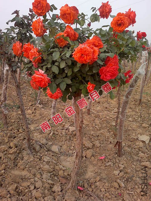 2011926145632.jpg