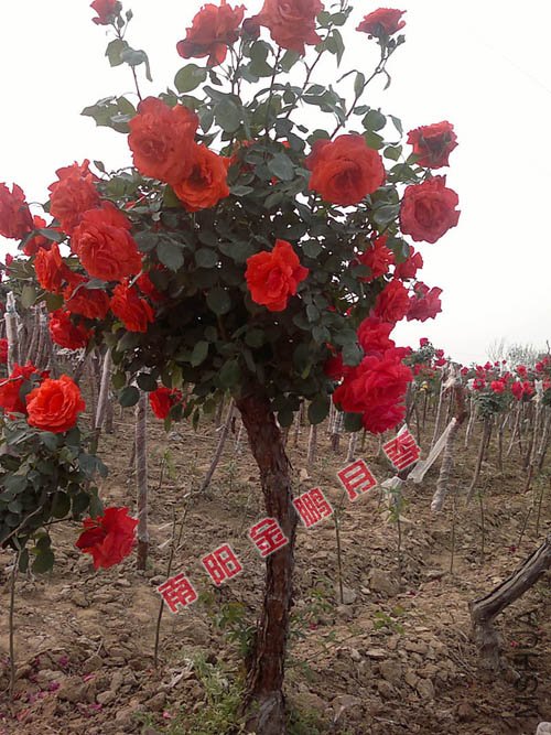 2011926150101.jpg