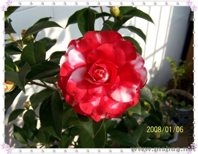 100_2787.JPG