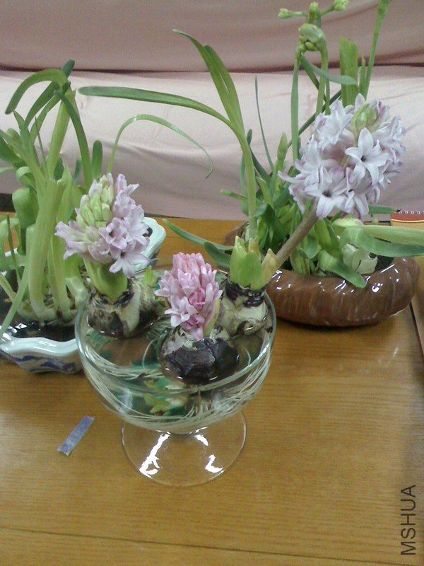 IMG0106083700.jpg