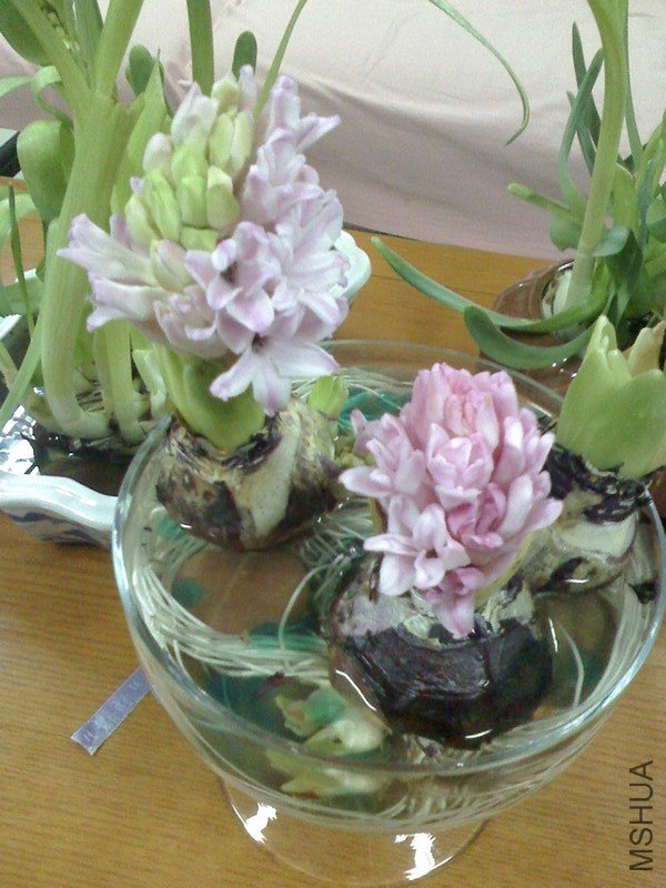 IMG0106083701.jpg