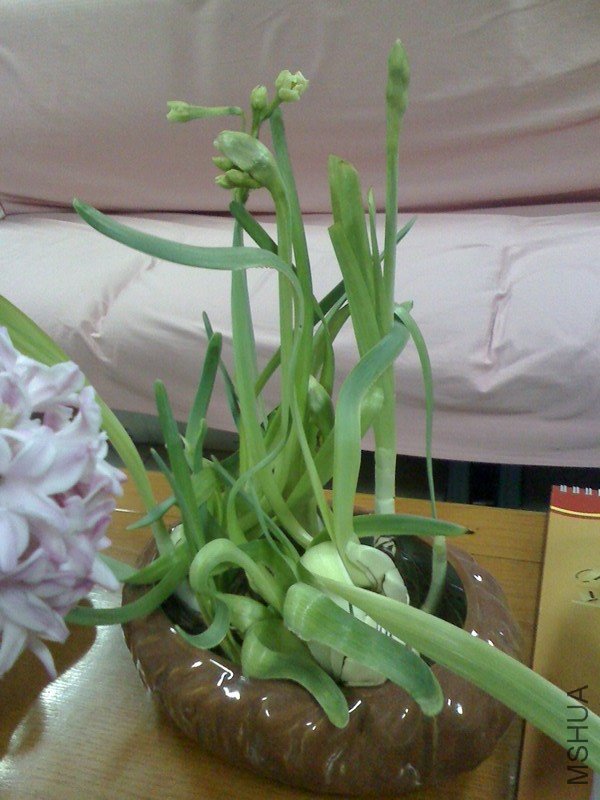 IMG0106083702.jpg