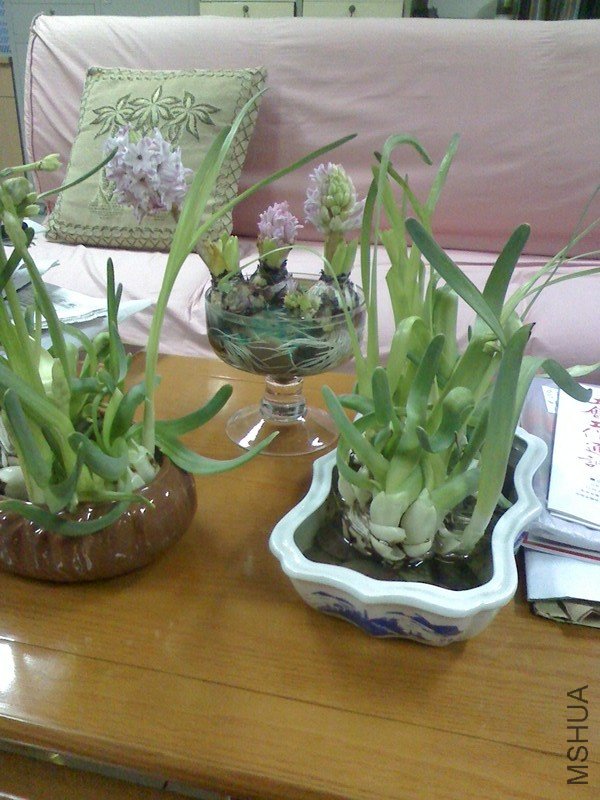 IMG0106083800.jpg