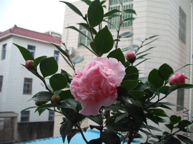 ��Ƭ 083.jpg