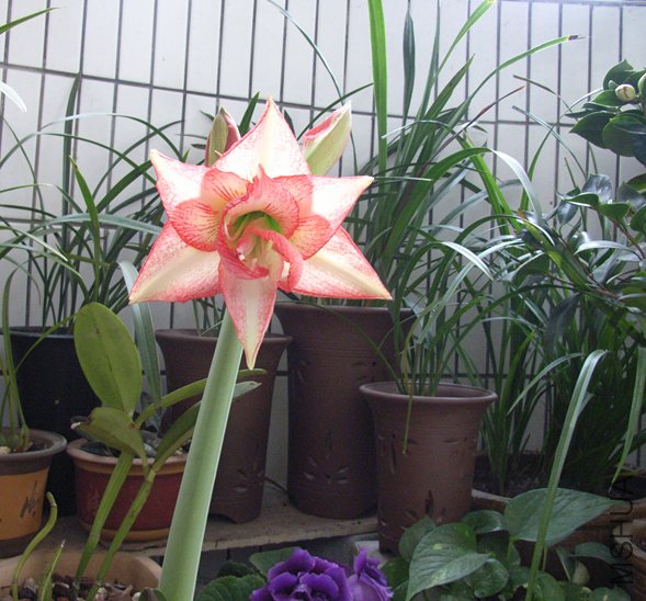 rimg0548_����.jpg