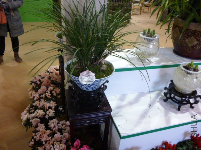 P1000317.JPG
