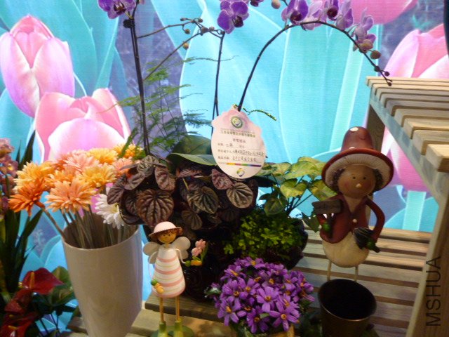 P1000334.JPG