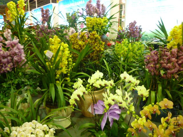 P1000366.JPG