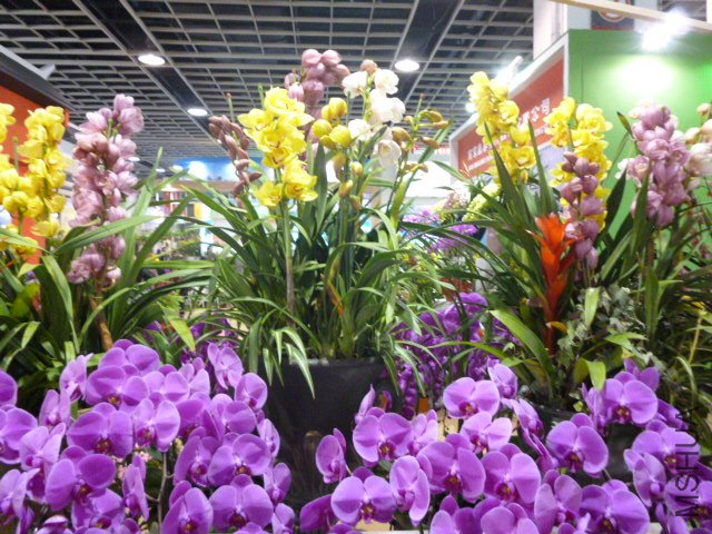 P1000363.JPG
