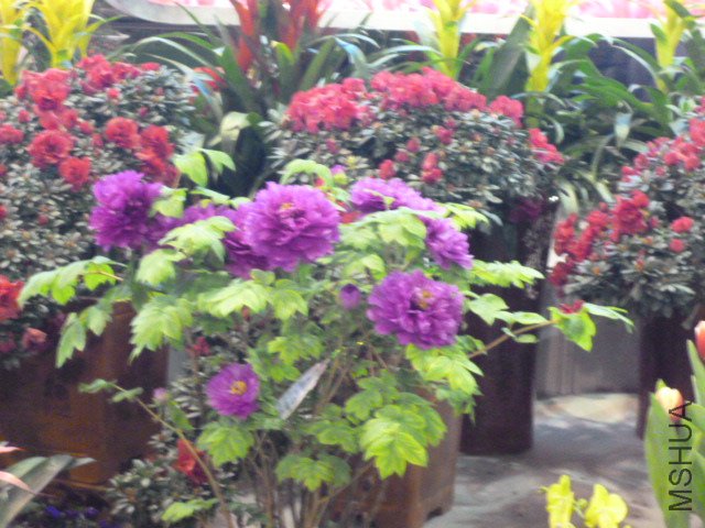 P1000344.JPG