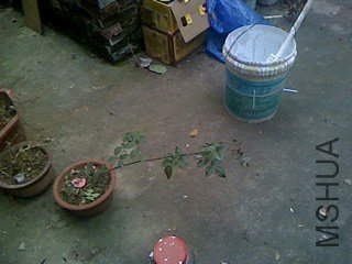 ]ZNBDC2QX%[P79Z~@A_[XE9.jpg