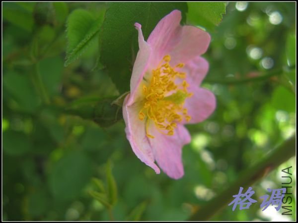 Ǿޱ��.jpg