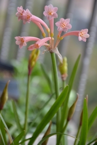 11��11��-n 062.jpg