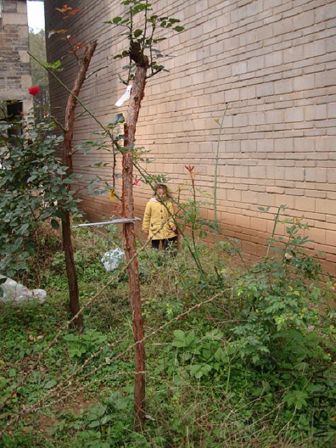 DSC05214.JPG