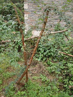 DSC05219.JPG