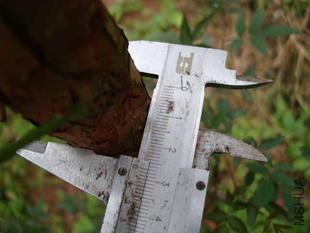 DSC05220.JPG
