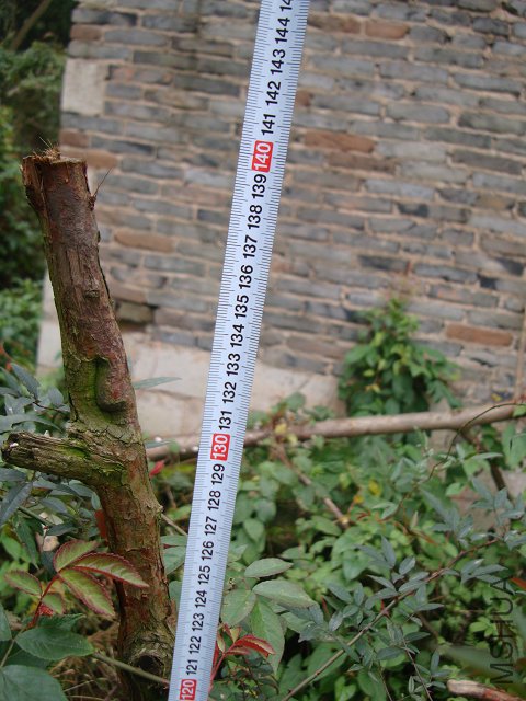 DSC05223.JPG
