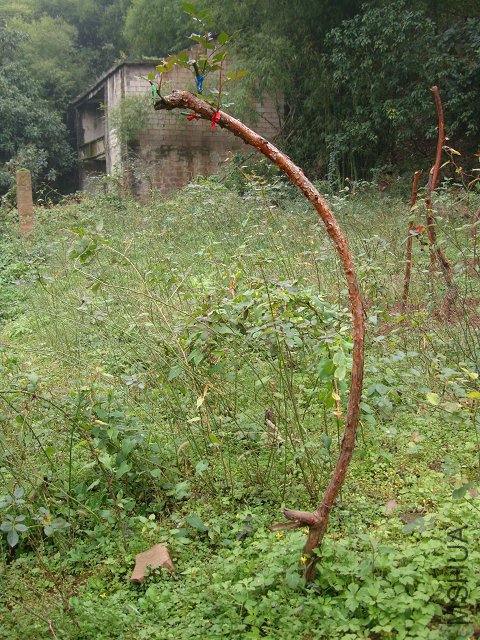 DSC05226.JPG
