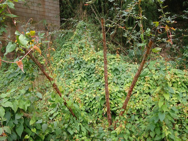 DSC05228.JPG