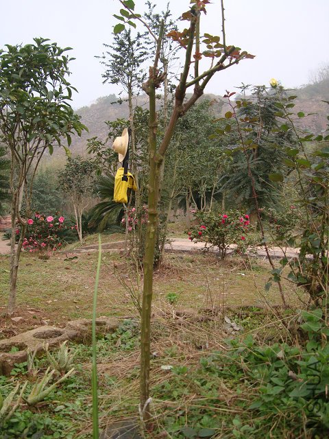 DSC05233.JPG