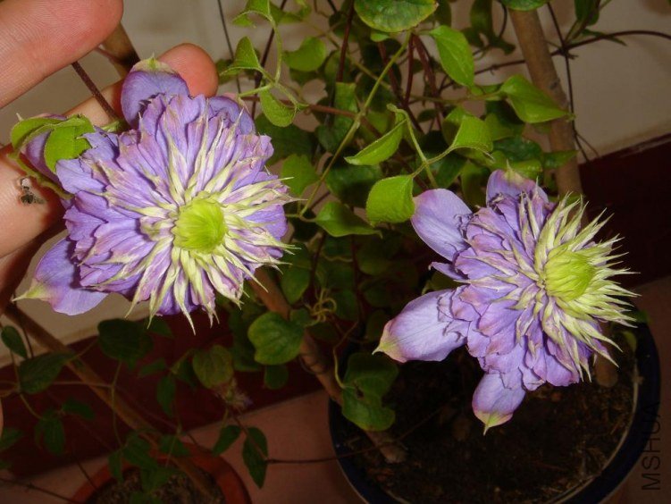 DSC08459.JPG