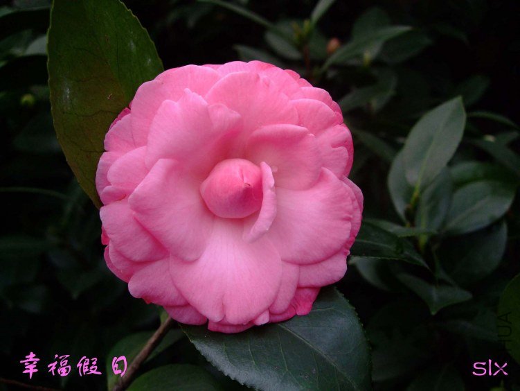 �Ҹ����� 2012-1-11f .jpg