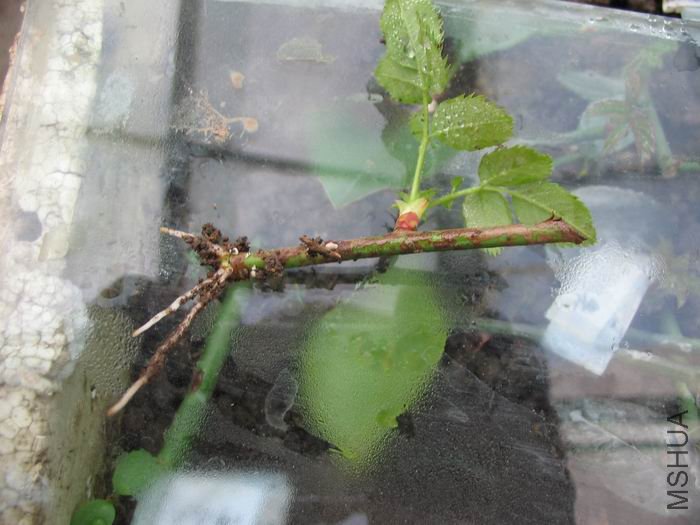 120105 002.jpg