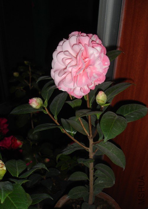 QQ��ͼ20120114083451.jpg